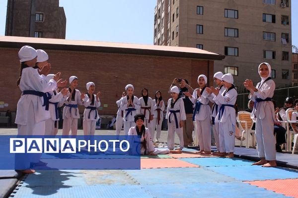 کلید خوردن طرح ملی «میدان پویا» در بهارستان‌دو