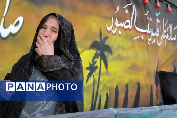 از نگاه معصوم کودک تا اشک پیرمرد؛ روایت عاشقی در موکب «عشاق‌الحسین»