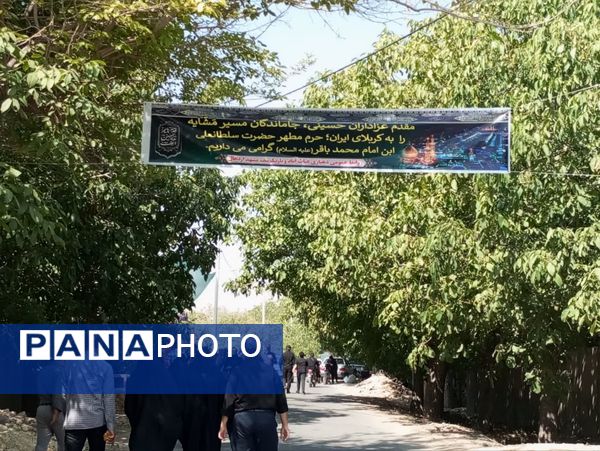 پیاده‌روی جاماندگان اربعین، راهیان کربلای ایران مشهداردهال
