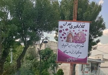 برگزاری جشنواره گلاب‌گیری در روستای طالب‌آباد شهرری
