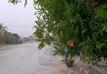 بارش باران الهی در لامرد