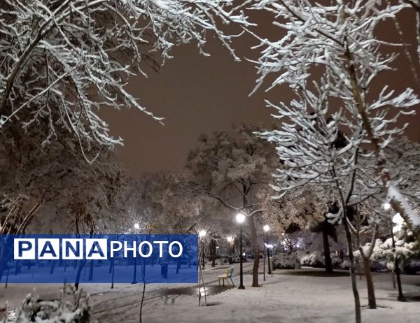 بارش برف در شهر زیبای مشهد 