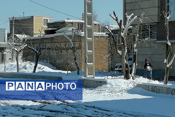 برف زمستانی مهمان دوباره‌ بروجن