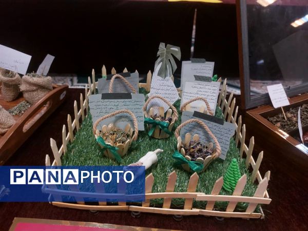 برگزاری نمایشگاه گیاهان دارویی در دبیرستان شاهد شهدای اقتدار ملارد 
