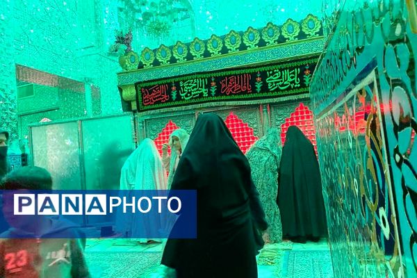 پیشوا در سوگ؛ سالروز شهادت امامزاده جعفر(ع)، ملجأ و پناه مردم دیار کهن