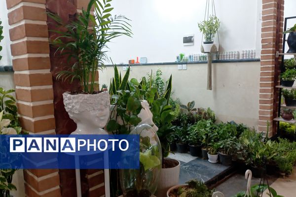 نمایشگاه گل و گیاه در نمایشگاه دائمی قرچک