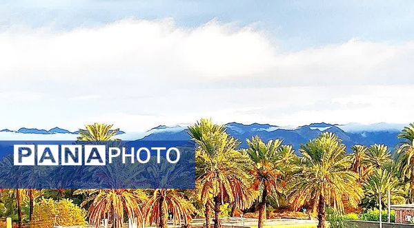 بارش باران فاریاب را شست و هوای غبار آلود پاک شد