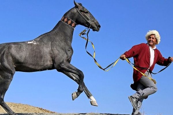 جشنواره ایی برای اصالت و زیبایی