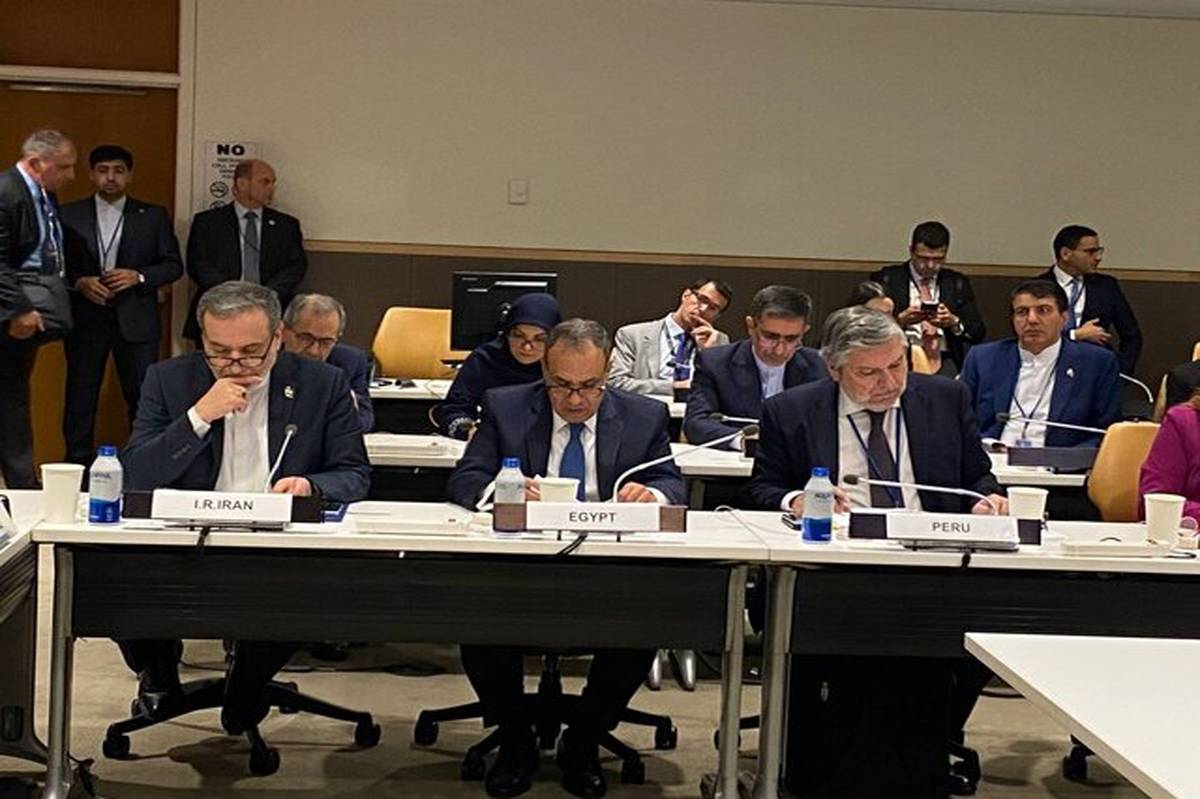 عراقچی: باید تمامی اموال فرهنگی غارت‌شده کشورها،به صاحبان حقیقی خود بازگردانده شوند