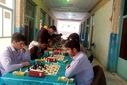 مسابقات شطرنج دانش‌آموزی در میبد