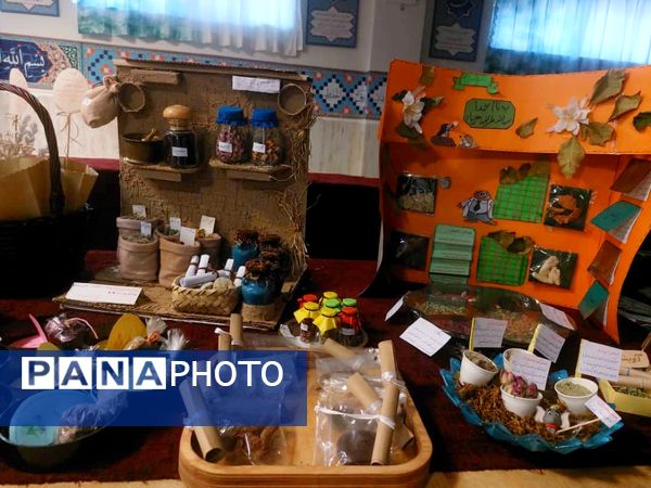 برگزاری نمایشگاه گیاهان دارویی در دبیرستان شاهد شهدای اقتدار ملارد 