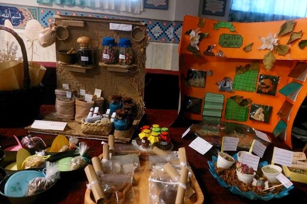 برگزاری نمایشگاه گیاهان دارویی در دبیرستان شاهد شهدای اقتدار ملارد 