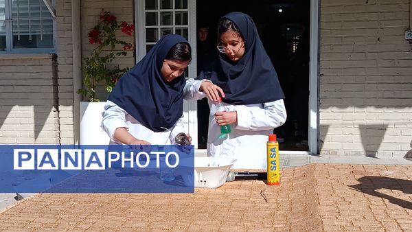 آزمایشگاه قلب تپنده یادگیری علوم