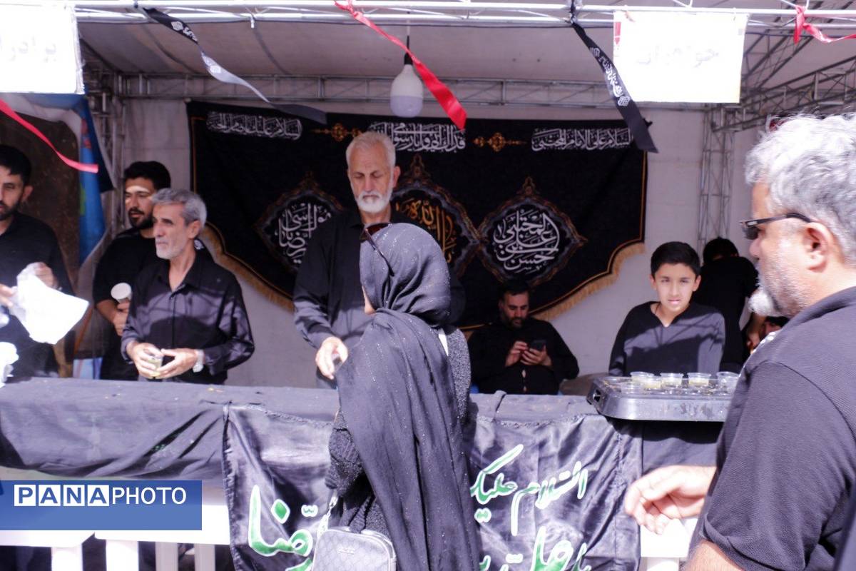 روایت تصویری از راه عشق مشهد در سوگ امام رضا(ع)