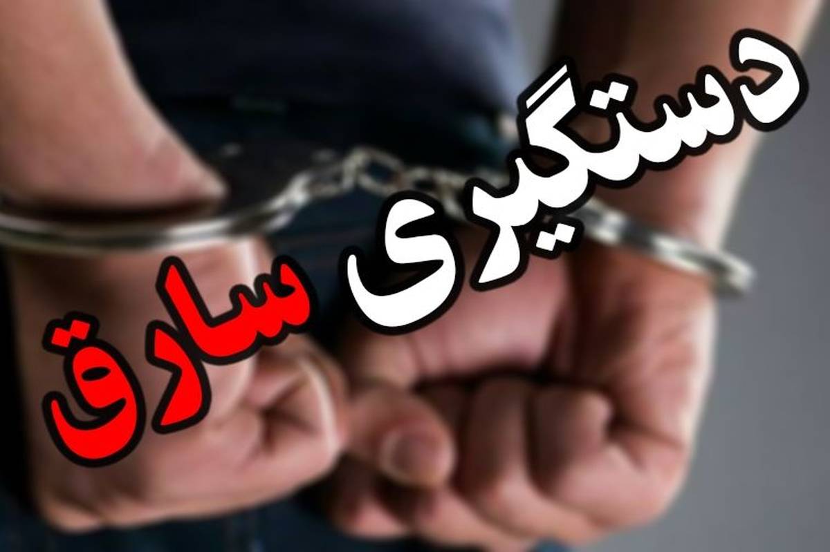 دستگیری سارق موتورسیکلت در" قاینات"