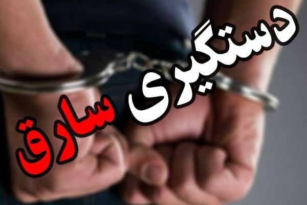 دستگیری سارق موتورسیکلت در" قاینات"