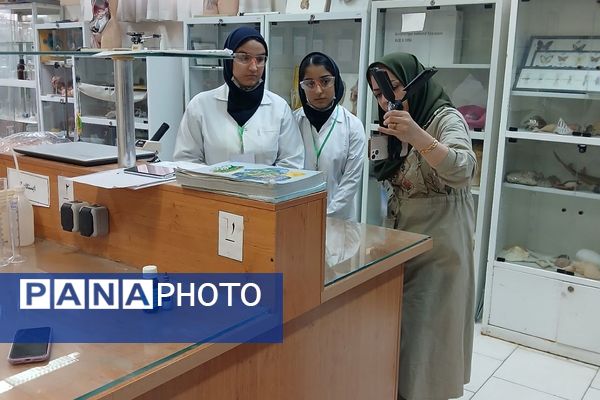 برگزاری مرحله استانی محور علوم آزمایشگاهی به صورت غیرحضوری در ملارد با حضور ۶ تیم برتر