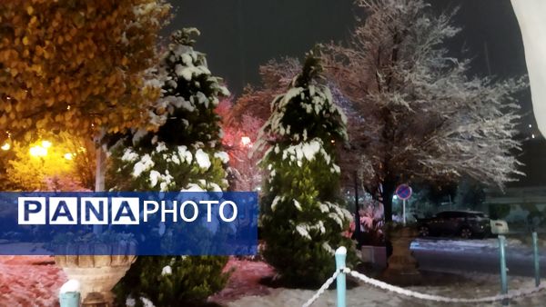 شبی برفی در نیشابور 