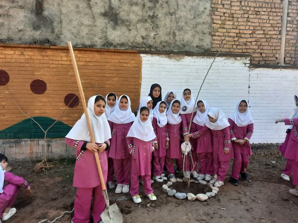 مراسم کاشت نهال در دبستان سید قطب رادکان 