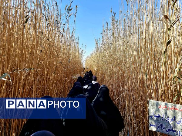 قدم بر خاک عشق