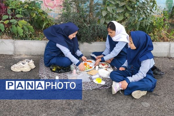 جشنواره غذای محلی و سالم در دبستان شهید خاقانی شهرستان شیروان