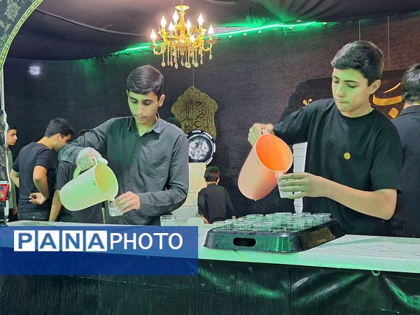 طریق النور در سوگ آفتاب 