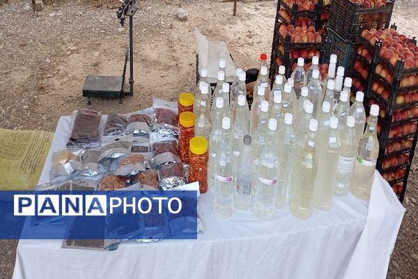 نمایشگاه محصولات بومی محلی و صنایع دستی در شهر بارنیشابور