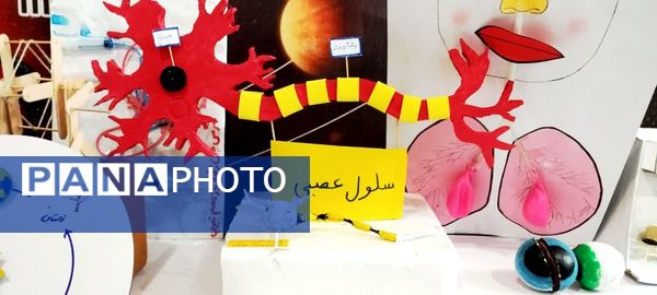 نمایشگاه  دستاوردهای علمی و تحقیقاتی دانش‌آموزان کلات
