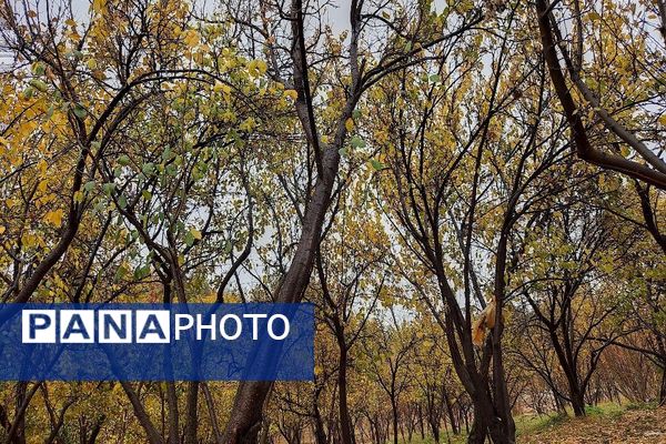 اولین باران پاییزی قابی شفاف از پاییز  رنگارنگ را در شهر زیبای بار رقم زد