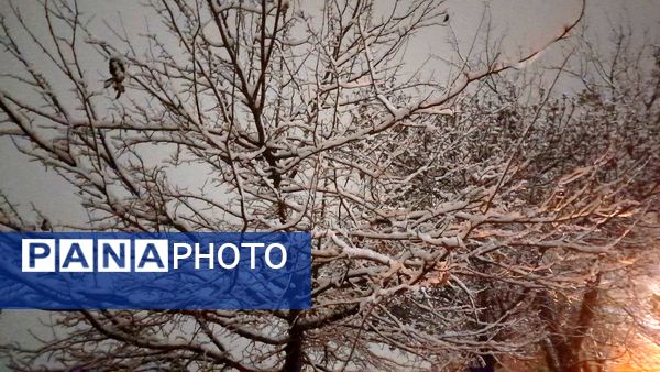 نزول برکت و نعمت در نخستین روزهای زمستانی در نیشابور