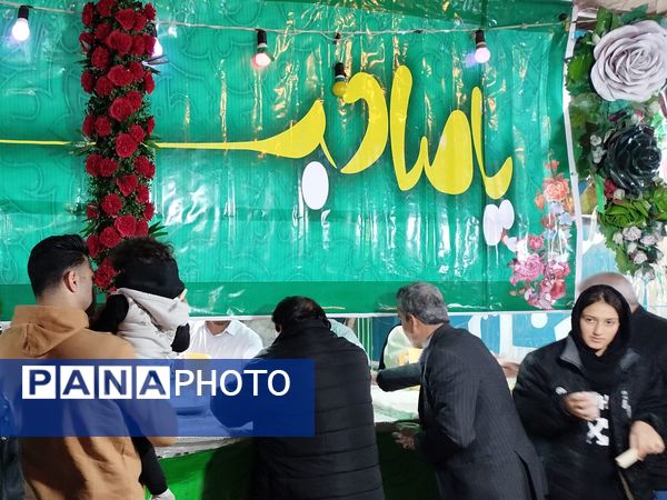 موکب‌های شادی در سطح شهرستان کاشمر 