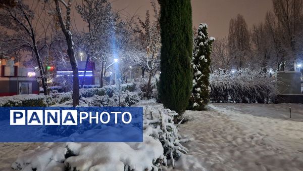 پارک‌های شهر مشهد در آغوش برف