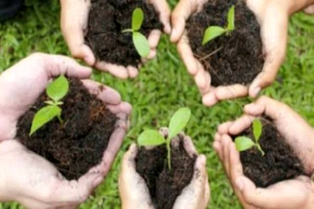 صدایی برای سبز ماندن وطن