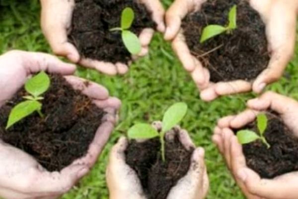 صدایی برای سبز ماندن وطن