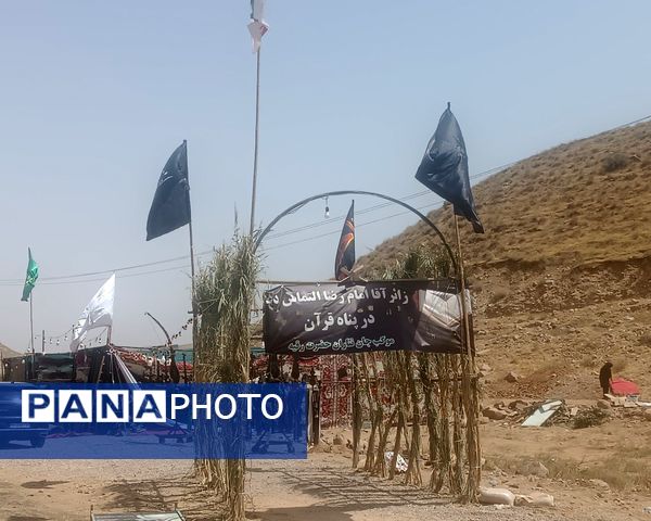 گام هایی از جنس عشق به امام رضا (ع)