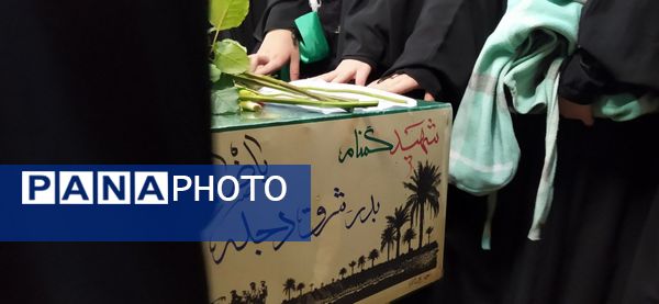 مهمان آسمانی در شهر سورشجان