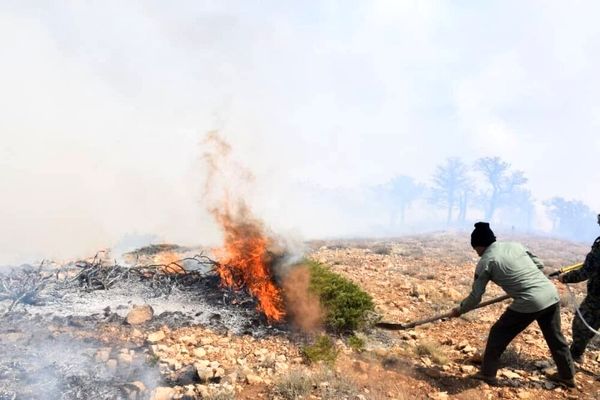 آتش‌سوزی شهرستان باشت گسترده بود