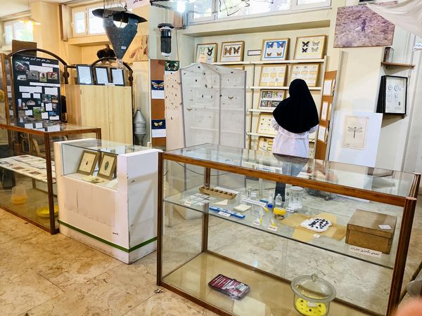 دانش آموزان خبرنگار، قهرمانان کشف دنیای گیاهان