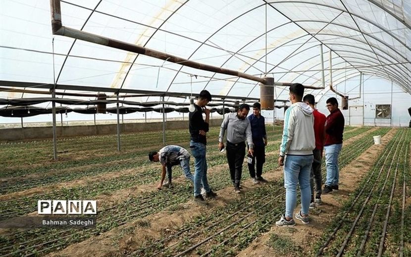 هنرستان‌ها، ظرفیتی مناسب برای تامین منابع انسانی مورد نیاز در بخش کشاورزی هستند