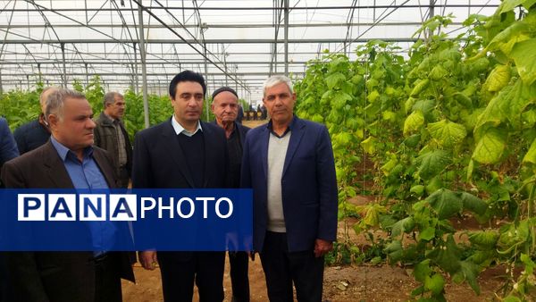 بازدید از گلخانه نمونه خسروشاه در هفته بسیج