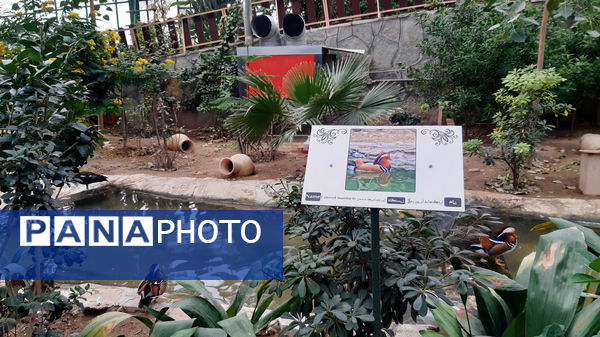 باغ پرندگان قم: جاذبه‌ای بی‌نظیر در قلب کشور