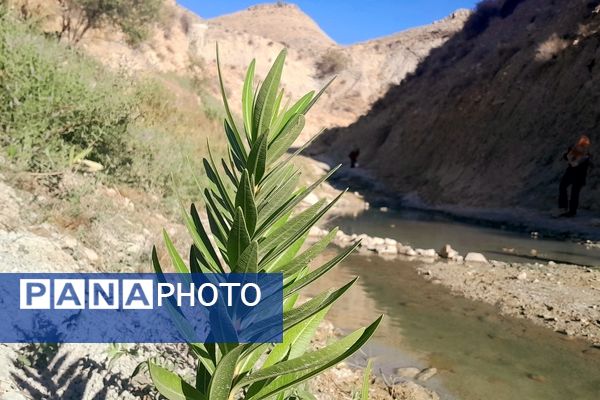 روستای برد‌زرد نگینی غریب در شهرستان لنده