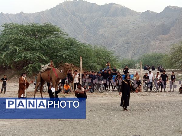آیین باشکوه کاروان شام تا کربلا در میناب