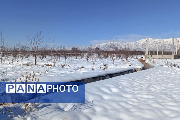 منظره زیبای برف پاییزی در باغات شهرستان نیشابور 