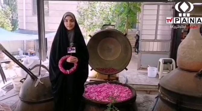 گزارش خبرنگار پانا قم از آیین گلاب‌گیری در کاشان