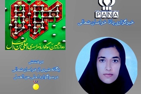 گفت‌وگو با خبرنگار برتر پانا استان در سوگواره احلی من العسل