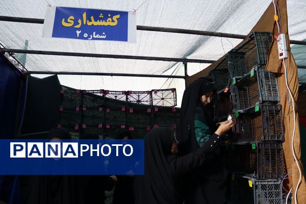 حسینیه ابوالفضل(ع) جلوه‌ای دیگر از حسینه معلی