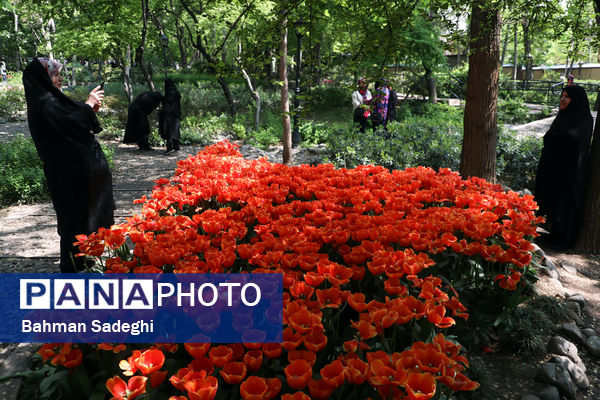 فصل لاله‌ها در بوستان باغ ایرانی