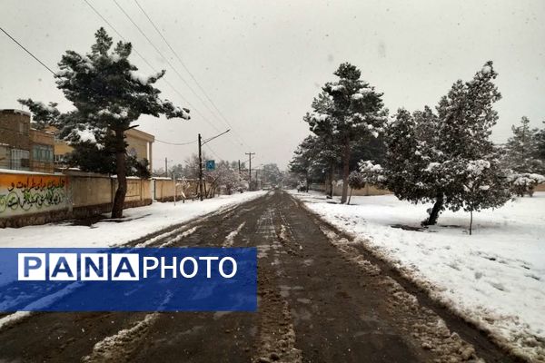 بارش برف در شهرستان تربت جام