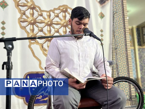 همایش پیاده روی خانوادگی در شهرستان تربت جام